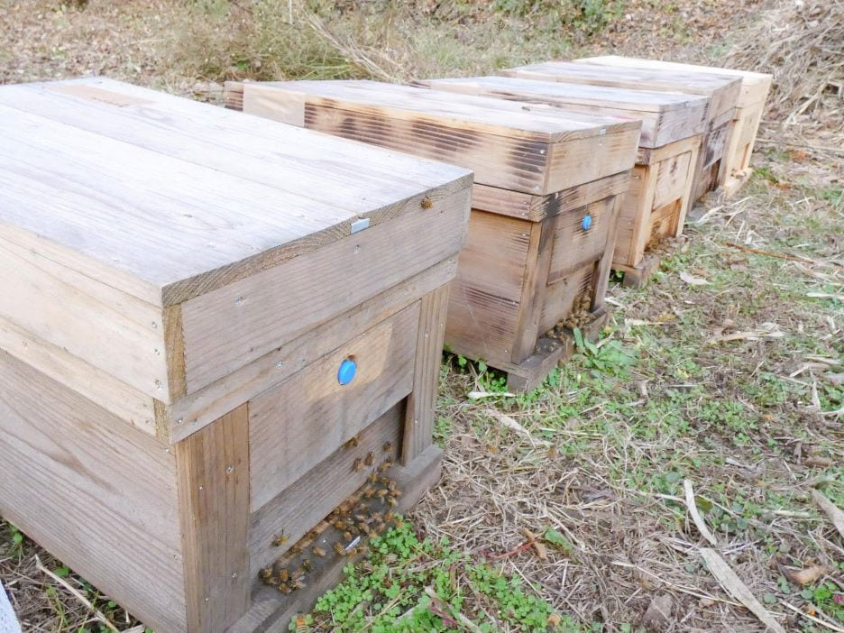 つむぎ養蜂園にて、使用している養蜂箱