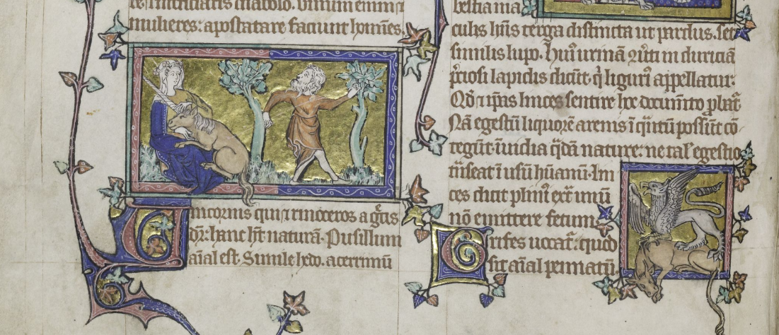 処女に抱かれておとなしくなっている一角獣（『動物寓話集』14世紀　Cambridge, Corpus Christi College MS 53, fol. 190v ）(c)The Parker Library